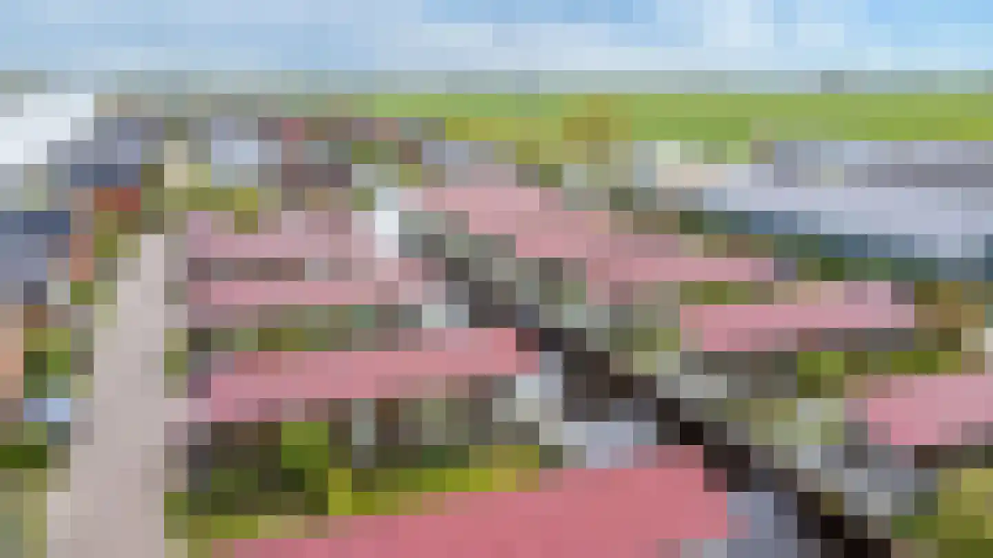 Meinesleatwei 20 Akkrum thumbnail 5