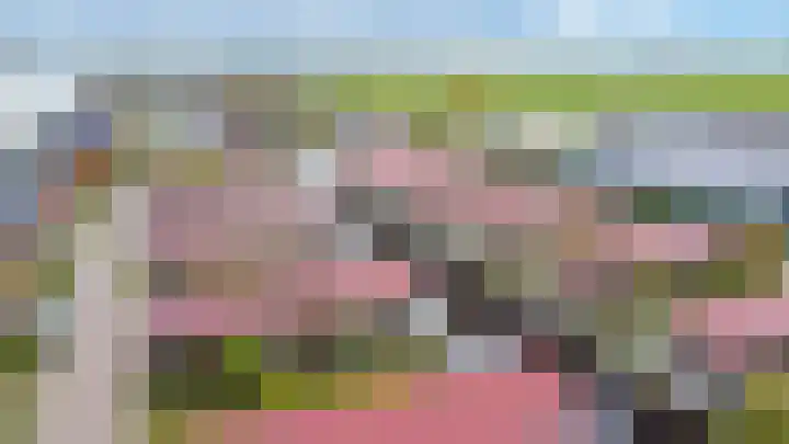 Meinesleatwei 20 Akkrum thumbnail 5