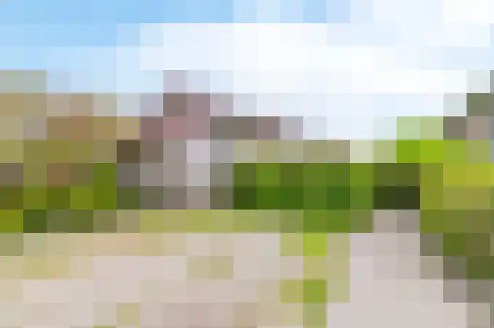 Meinesleatwei 20 Akkrum thumbnail 6