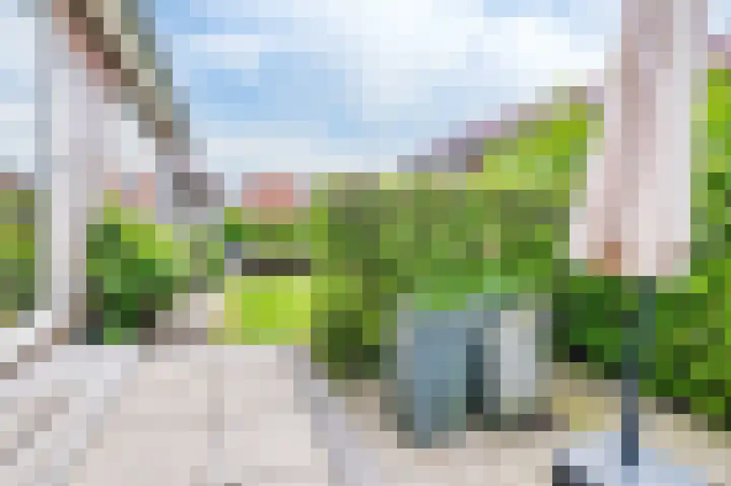 Meinesleatwei 20 Akkrum thumbnail 7