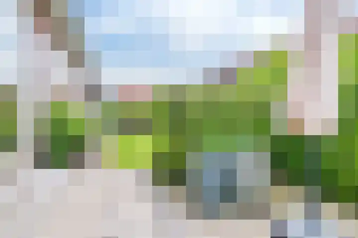 Meinesleatwei 20 Akkrum thumbnail 7