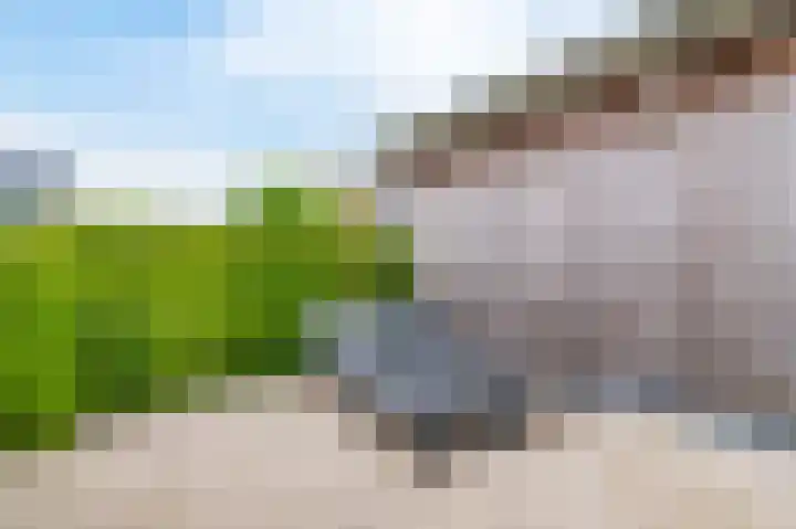 Meinesleatwei 20 Akkrum thumbnail 8