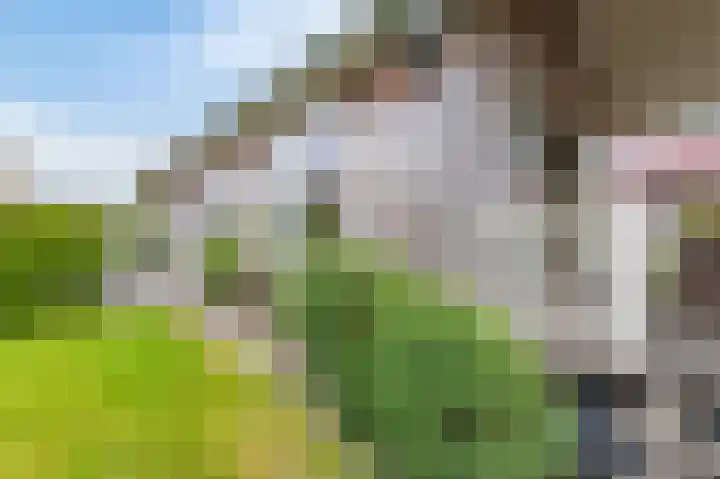 Meinesleatwei 20 Akkrum thumbnail 9