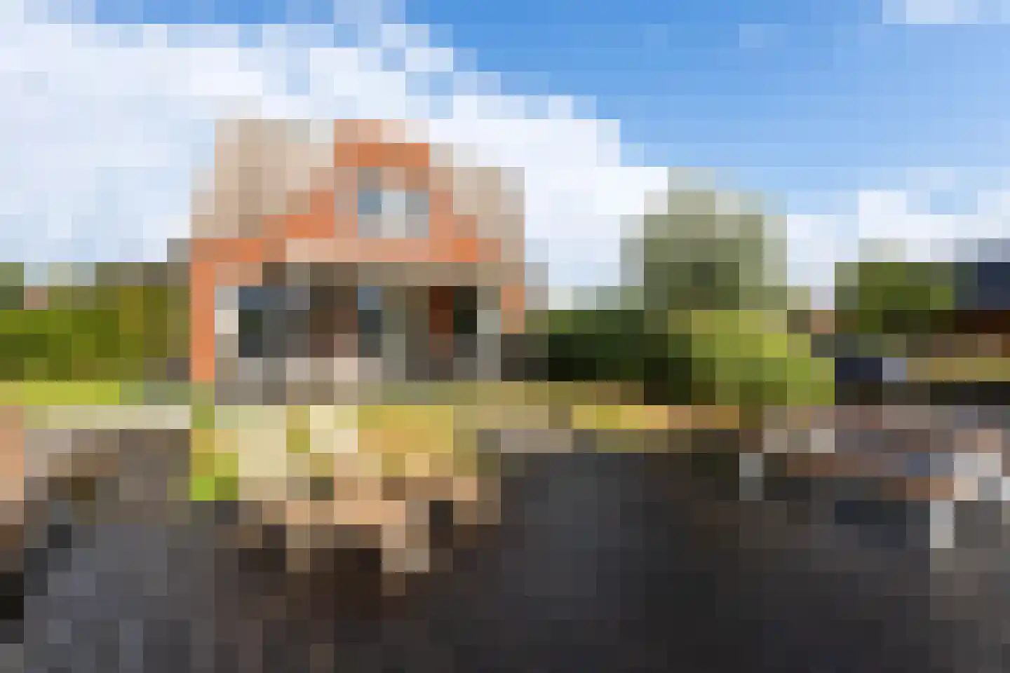 Meinesleatwei 35 Akkrum thumbnail 11