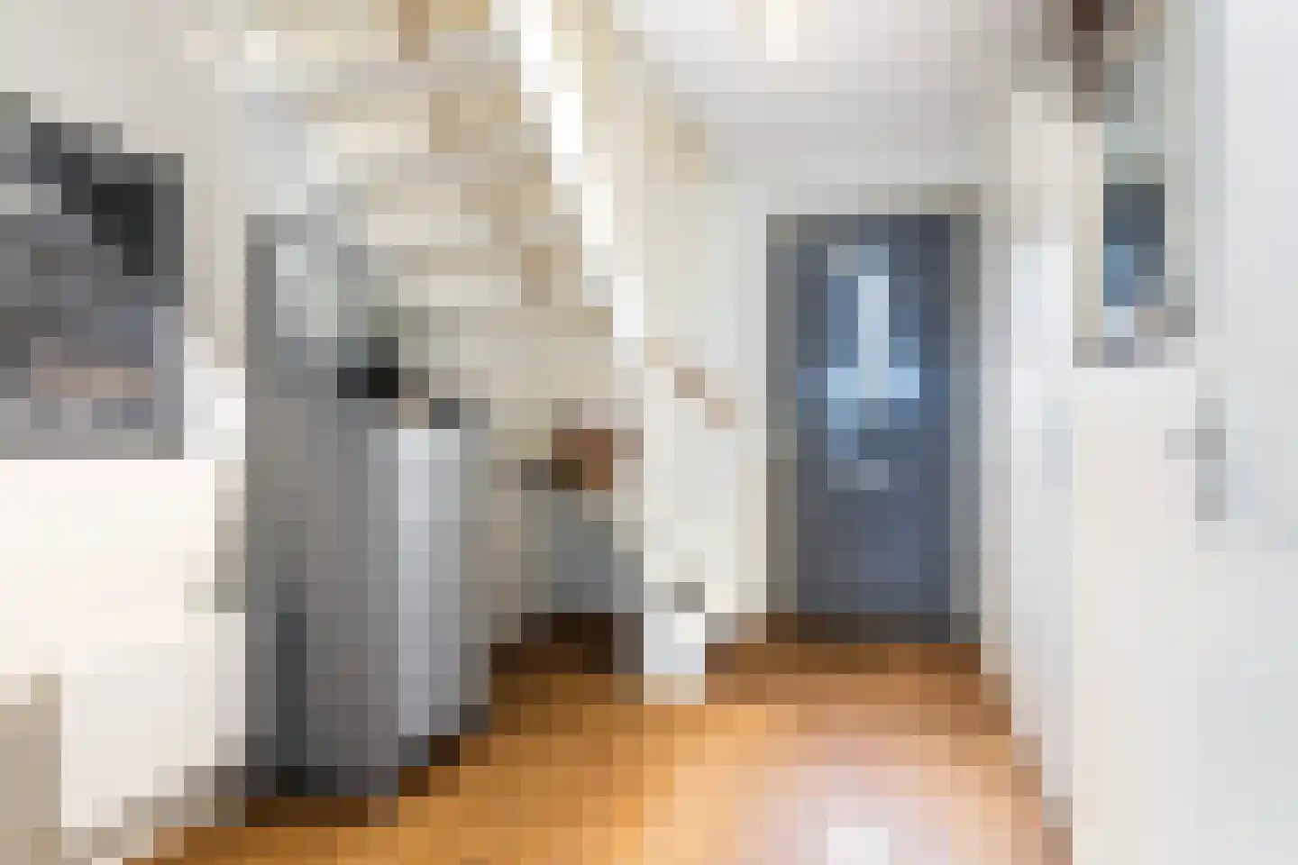Meinesleatwei 35 Akkrum thumbnail 12