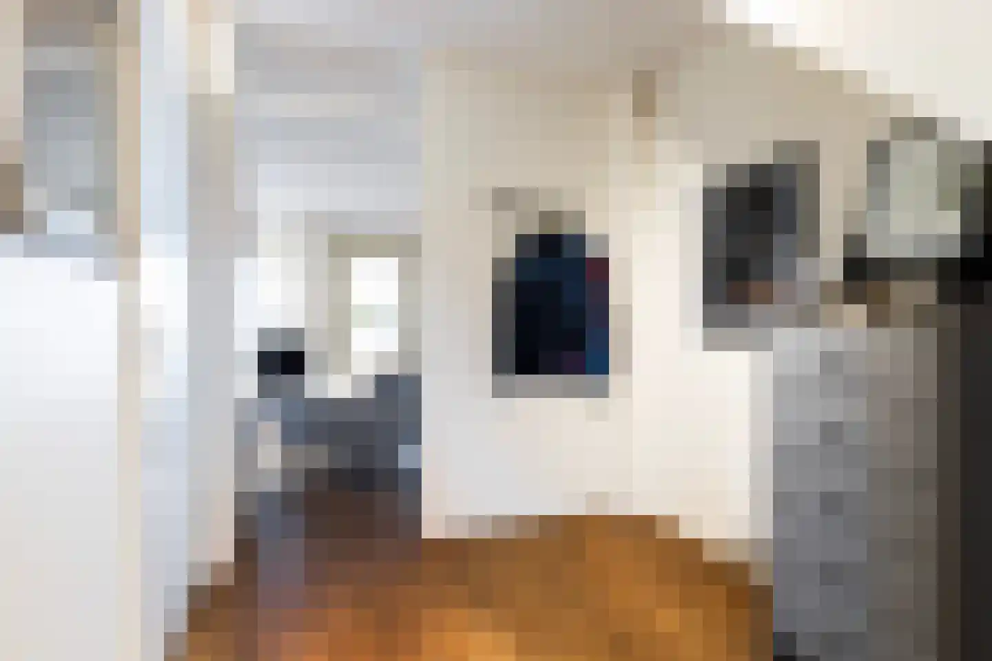 Meinesleatwei 35 Akkrum thumbnail 13