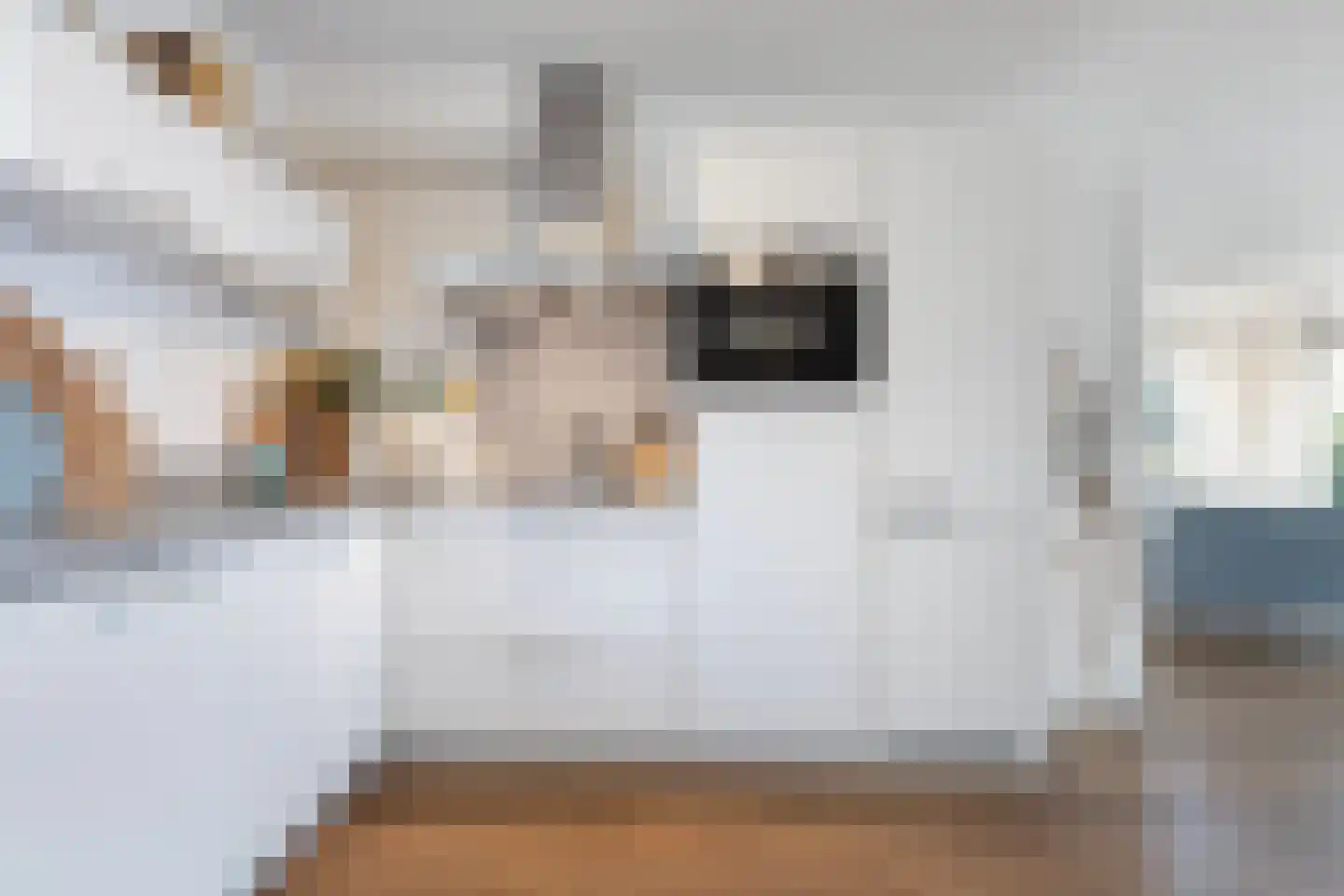 Meinesleatwei 35 Akkrum thumbnail 23