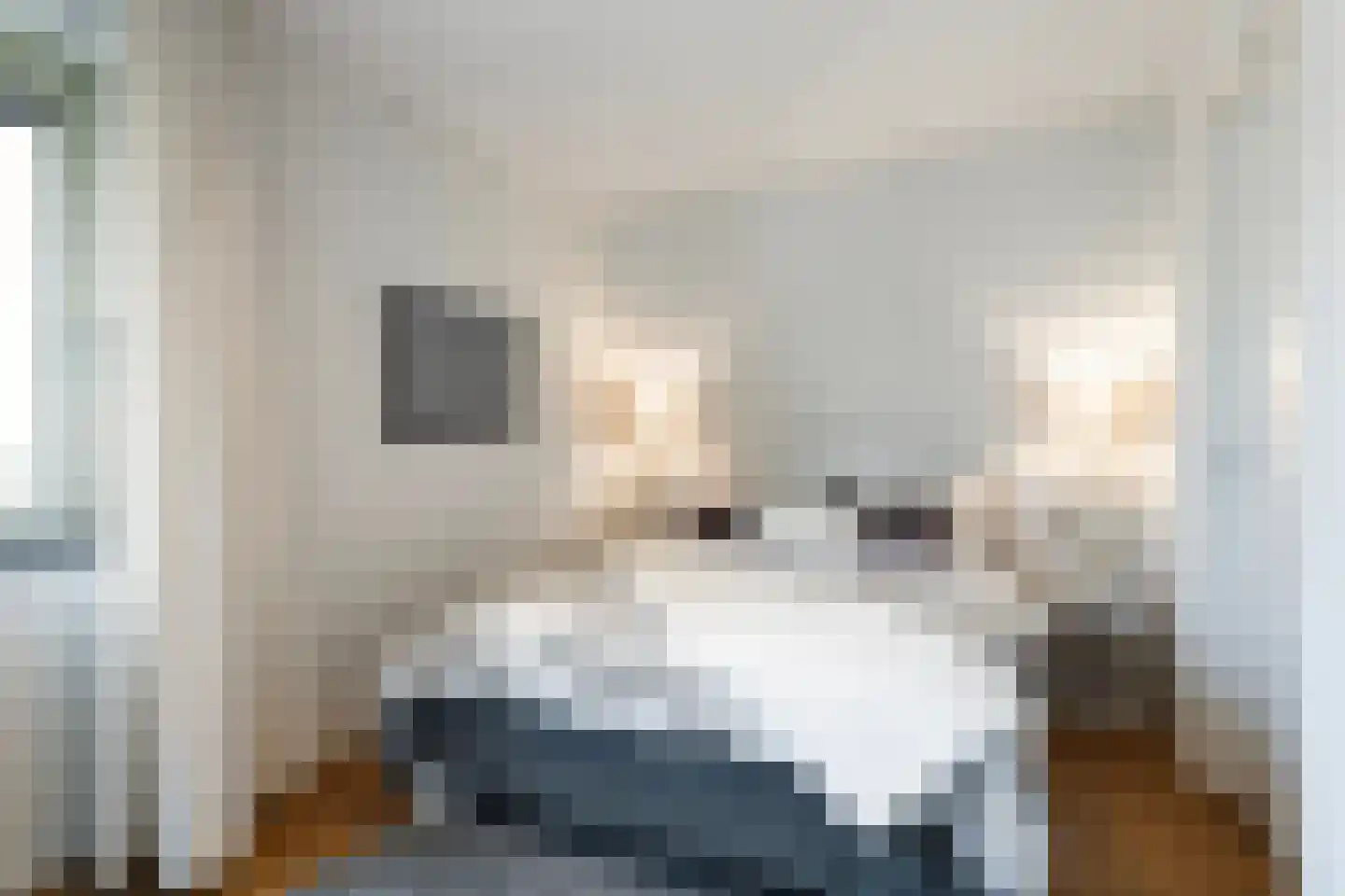 Meinesleatwei 35 Akkrum thumbnail 28