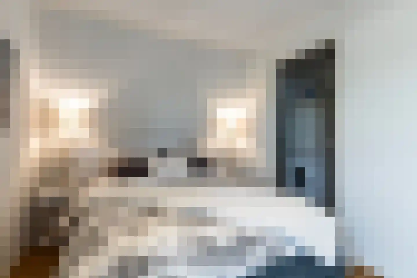 Meinesleatwei 35 Akkrum thumbnail 29