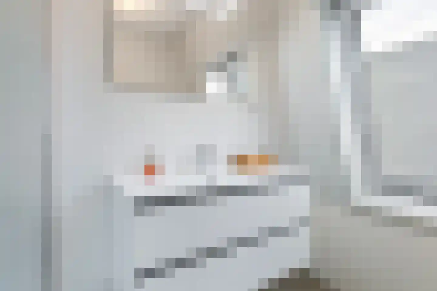 Meinesleatwei 35 Akkrum thumbnail 34