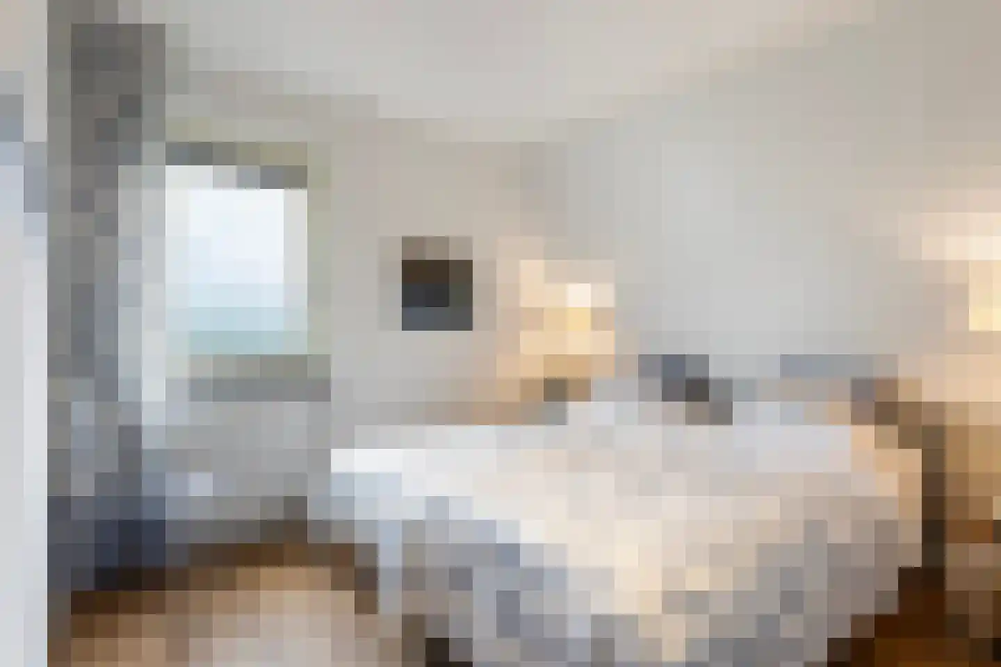 Meinesleatwei 35 Akkrum thumbnail 40