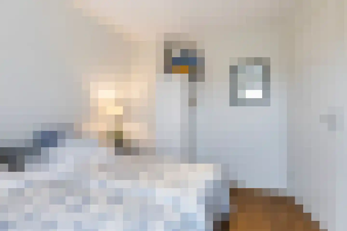 Meinesleatwei 35 Akkrum thumbnail 41