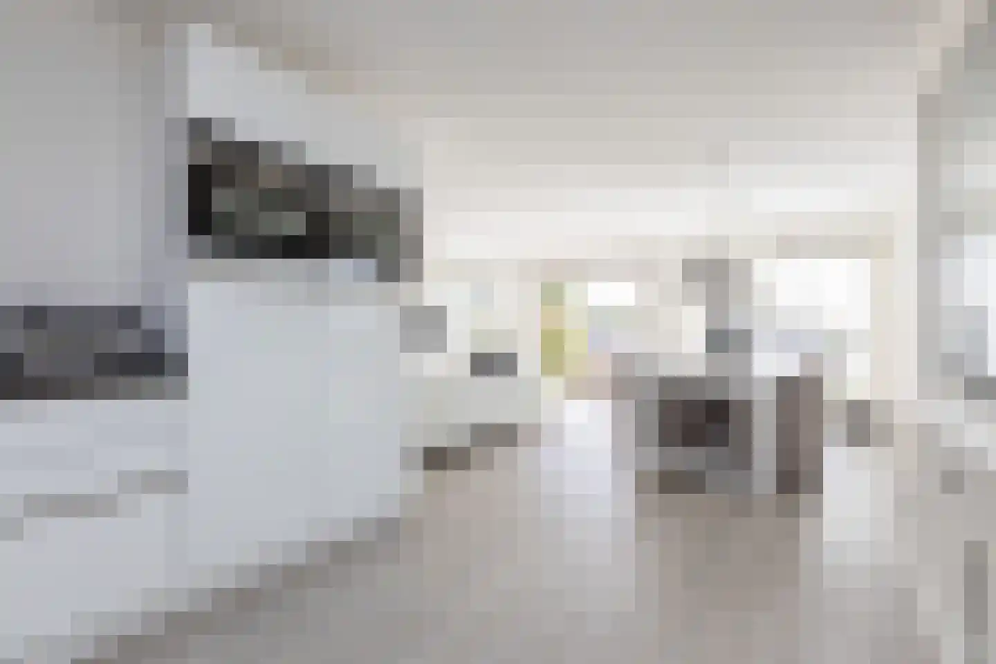 Meinesleatwei 37 Akkrum thumbnail 11