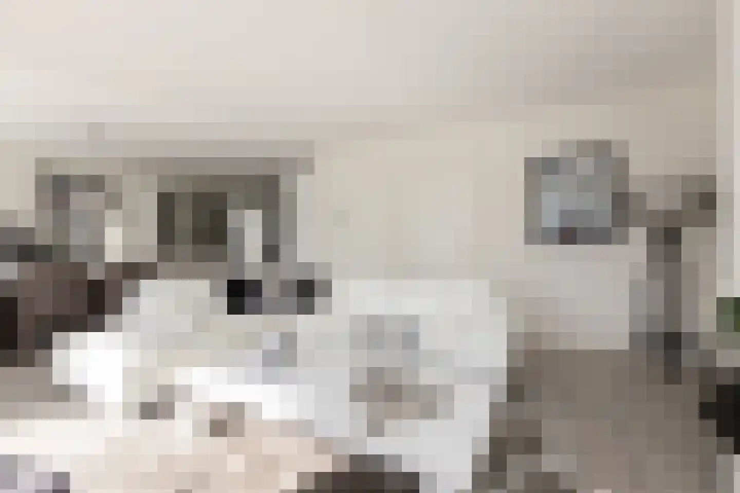 Meinesleatwei 37 Akkrum thumbnail 12