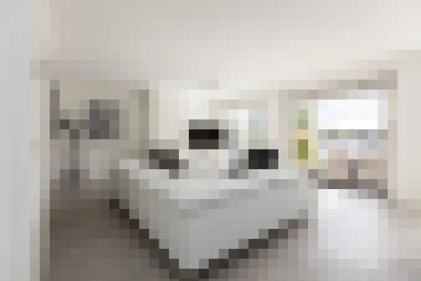 Meinesleatwei 37 Akkrum thumbnail 13