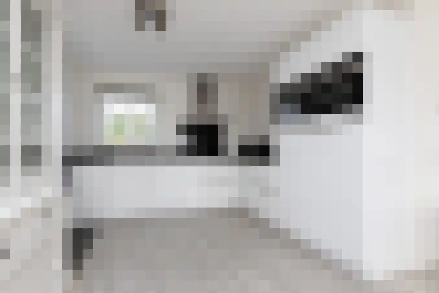 Meinesleatwei 37 Akkrum thumbnail 17