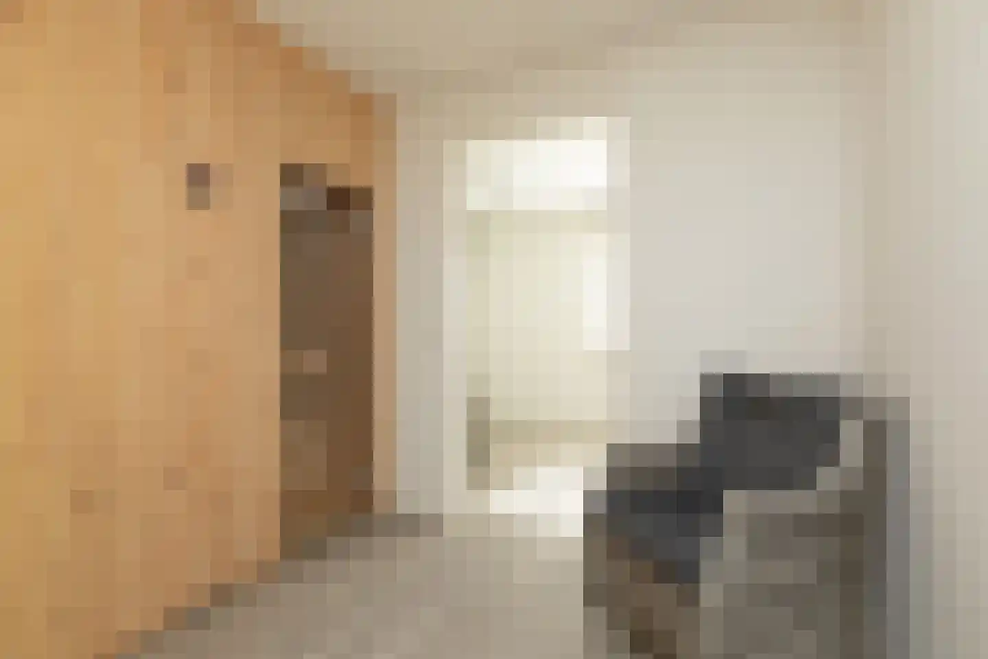 Meinesleatwei 37 Akkrum thumbnail 17