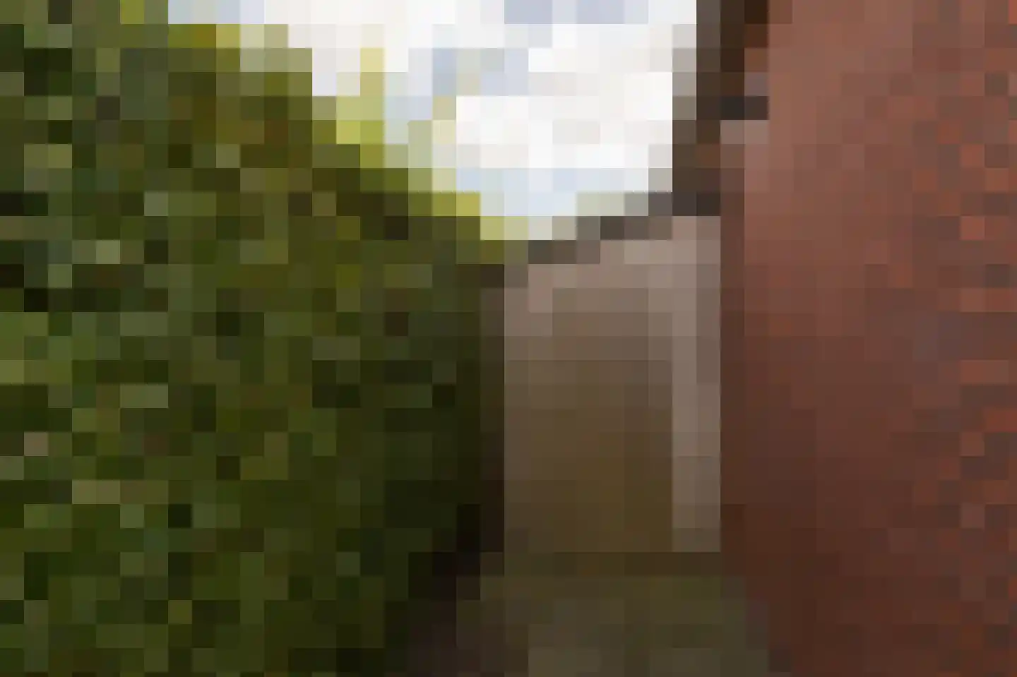 Meinesleatwei 37 Akkrum thumbnail 40