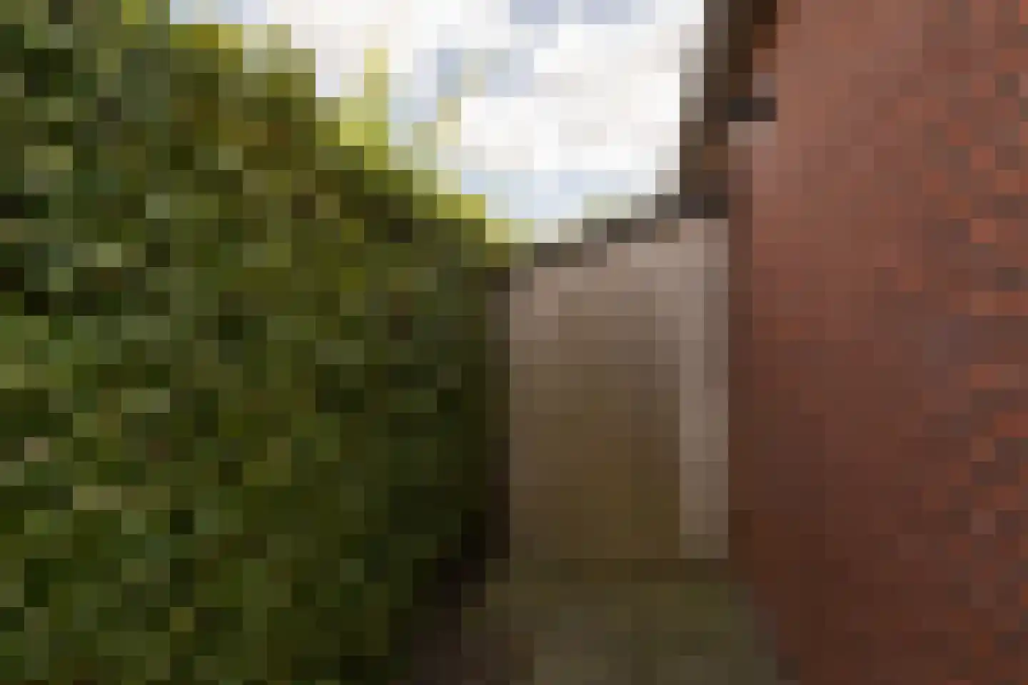 Meinesleatwei 37 Akkrum thumbnail 43