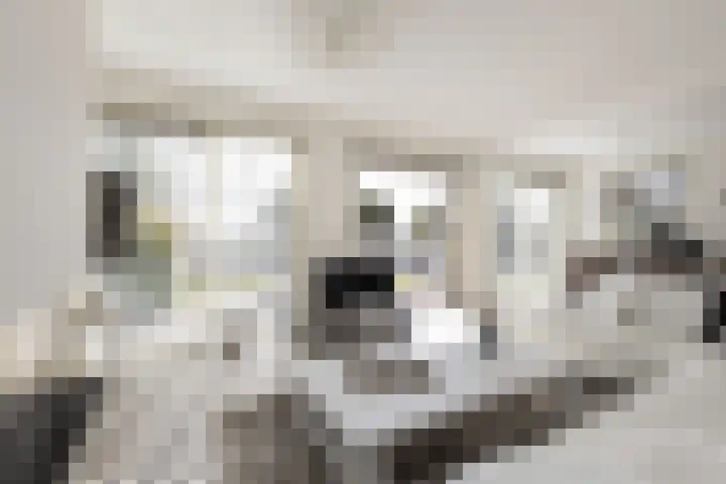 Meinesleatwei 37 Akkrum thumbnail 5