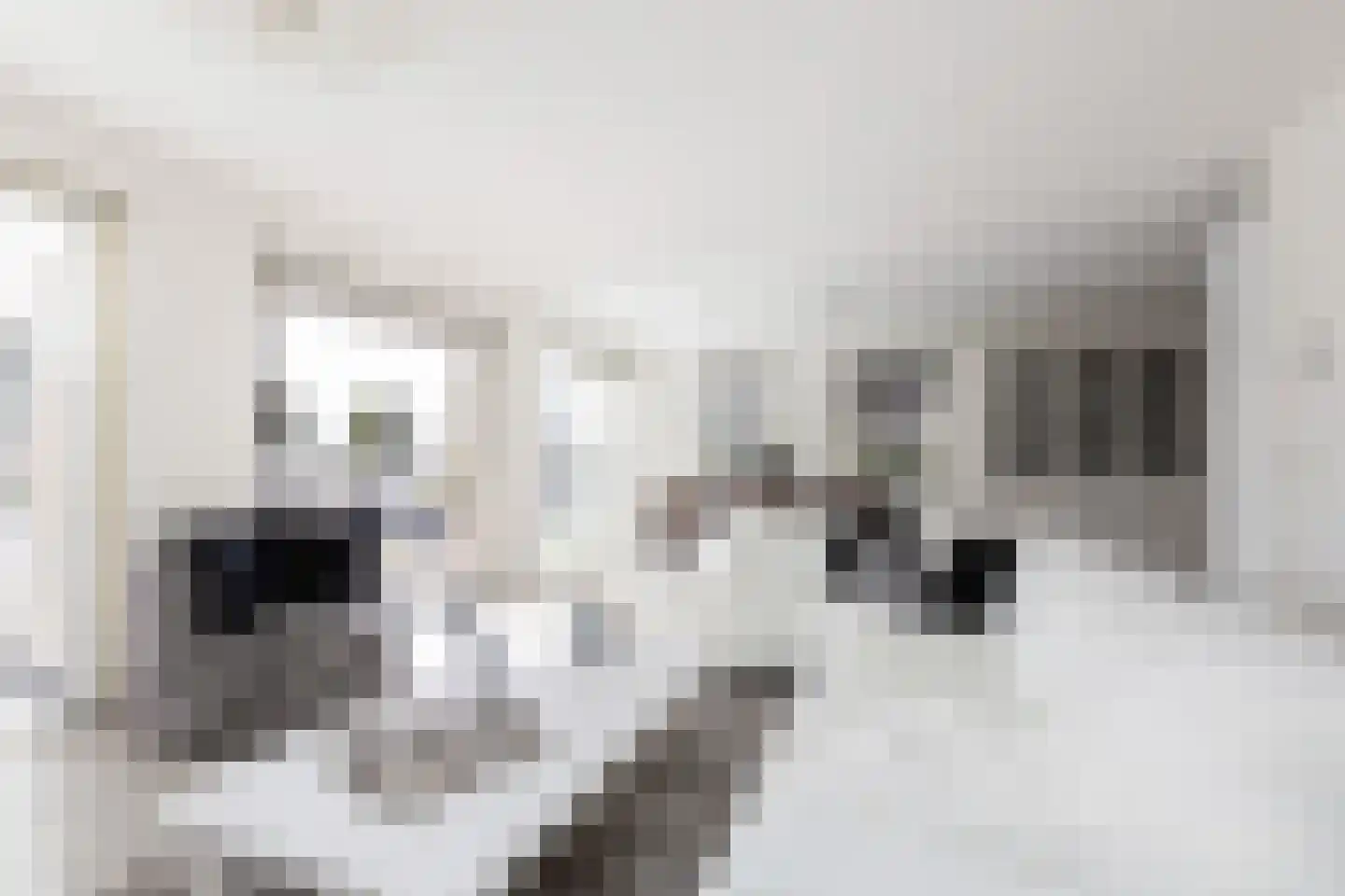 Meinesleatwei 37 Akkrum thumbnail 9