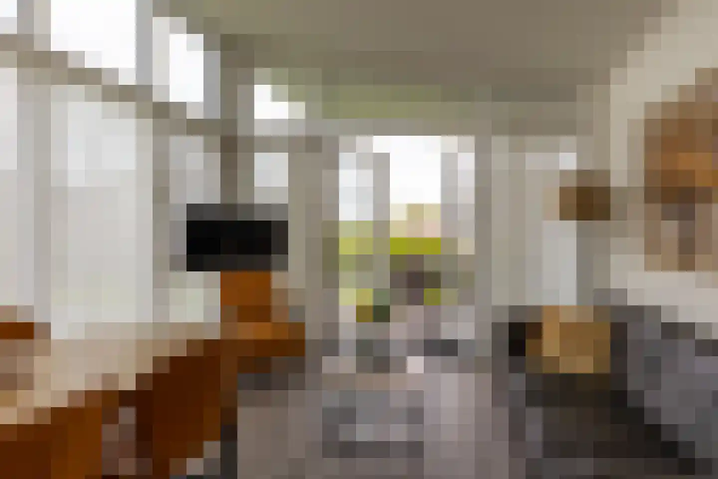 Meinesleatwei 76 Akkrum thumbnail 13