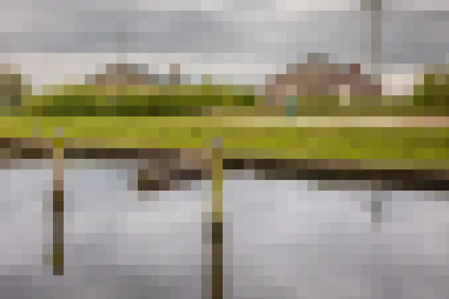 Meinesleatwei 76 Akkrum thumbnail 27