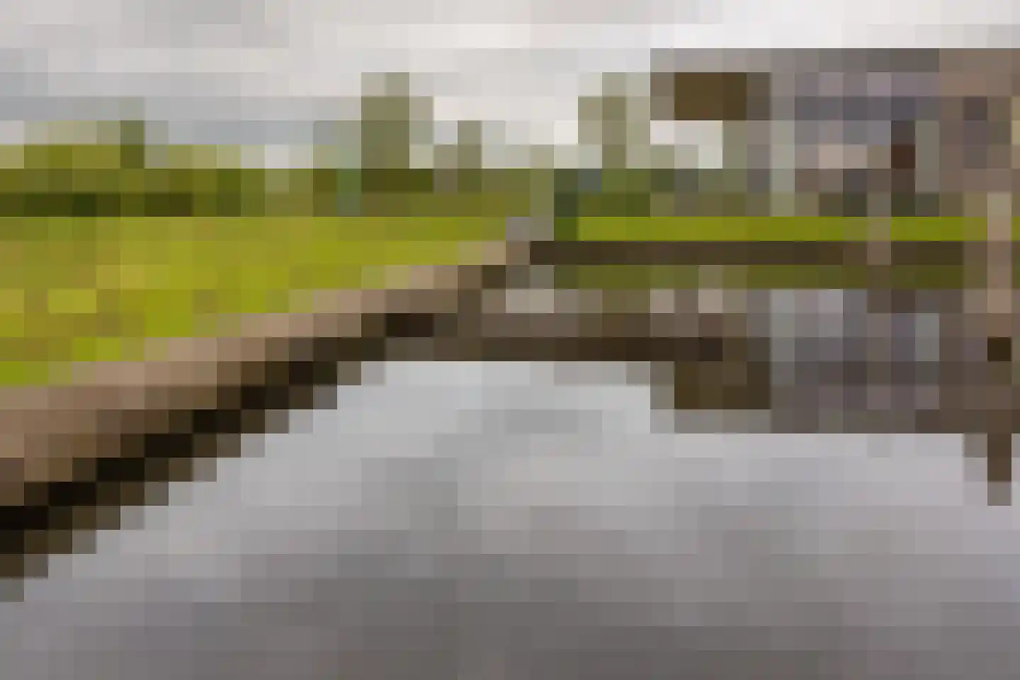 Meinesleatwei 76 Akkrum thumbnail 28