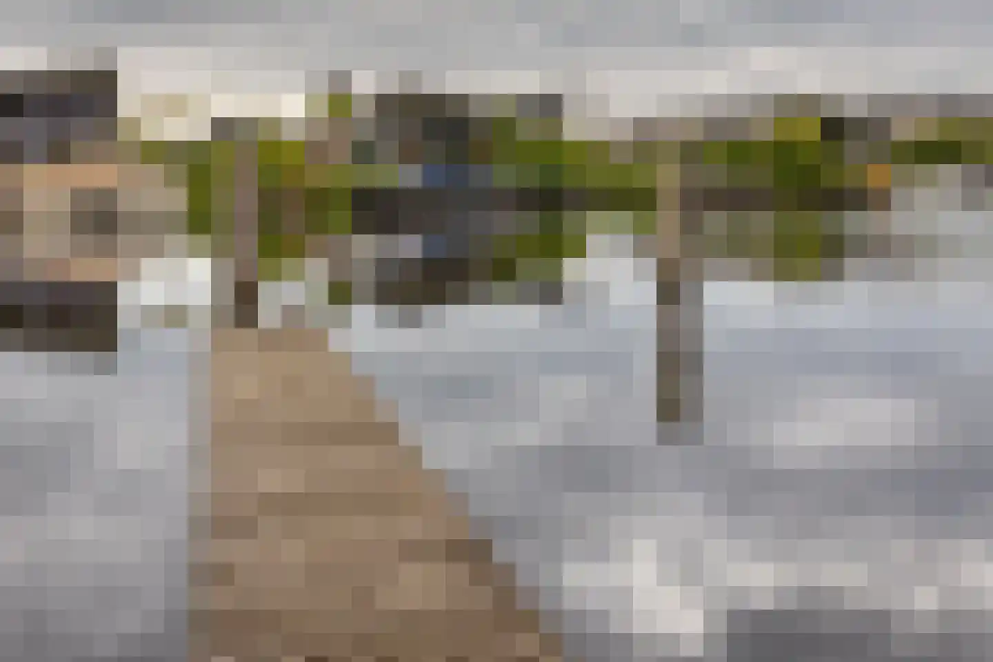 Meinesleatwei 76 Akkrum thumbnail 5