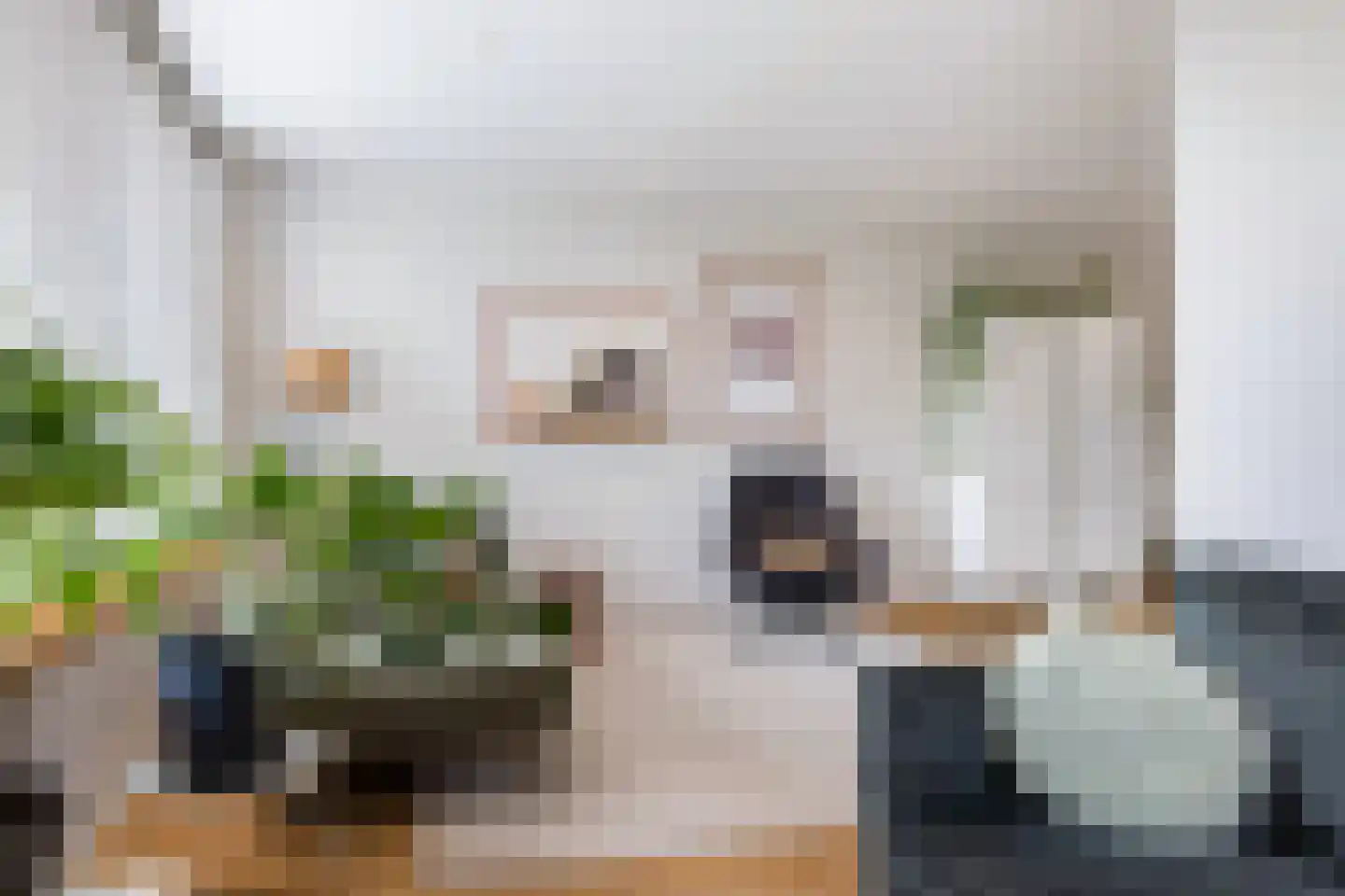 Meineszstraat 3 Heerenveen thumbnail 13