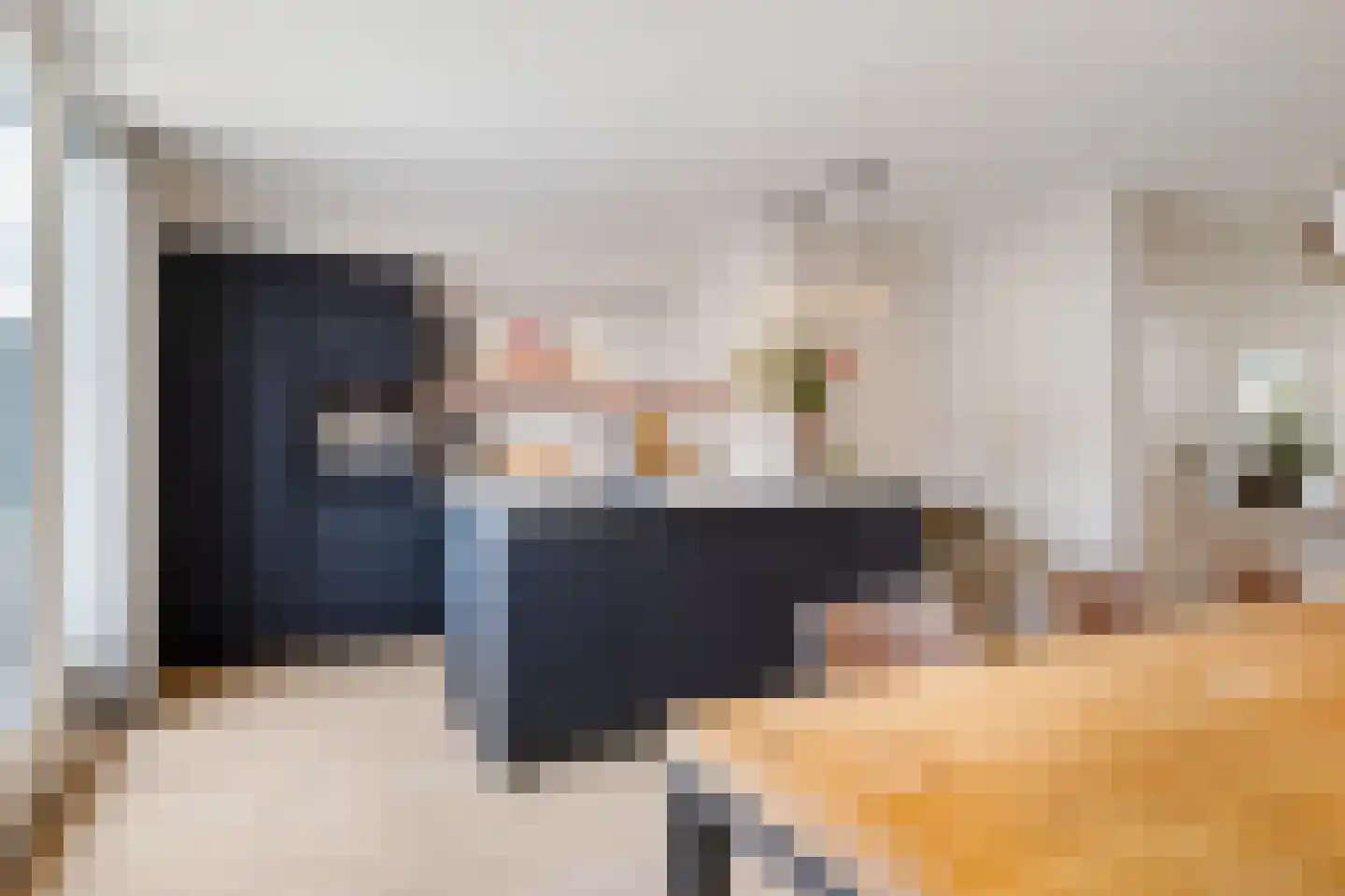 Meineszstraat 3 Heerenveen thumbnail 16