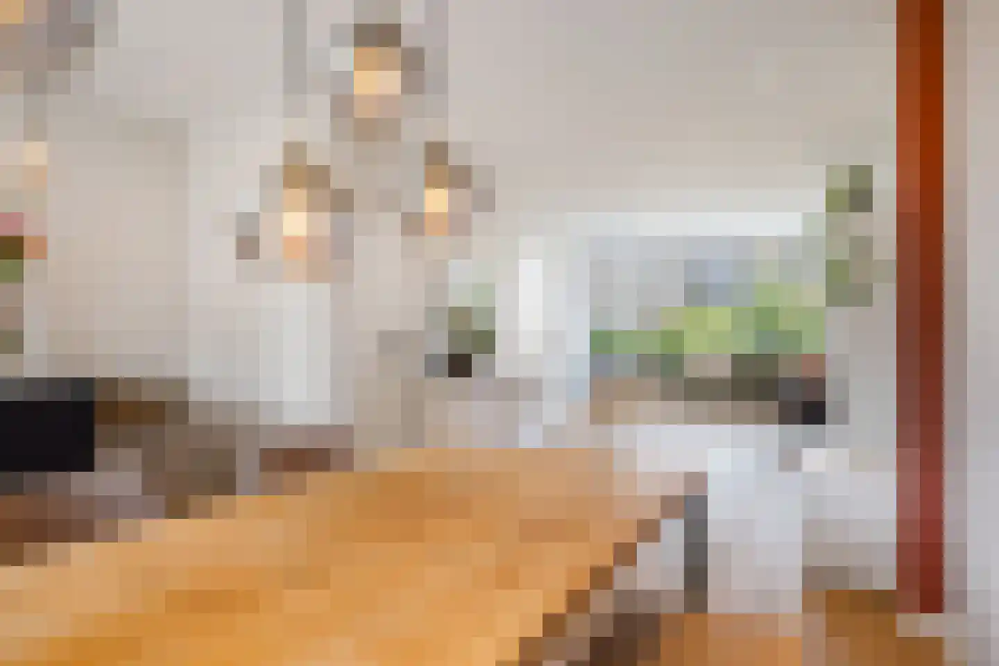 Meineszstraat 3 Heerenveen thumbnail 17