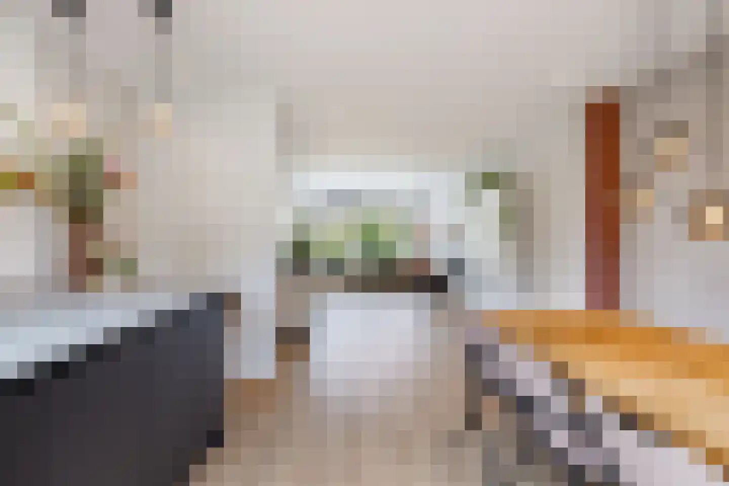 Meineszstraat 3 Heerenveen thumbnail 18