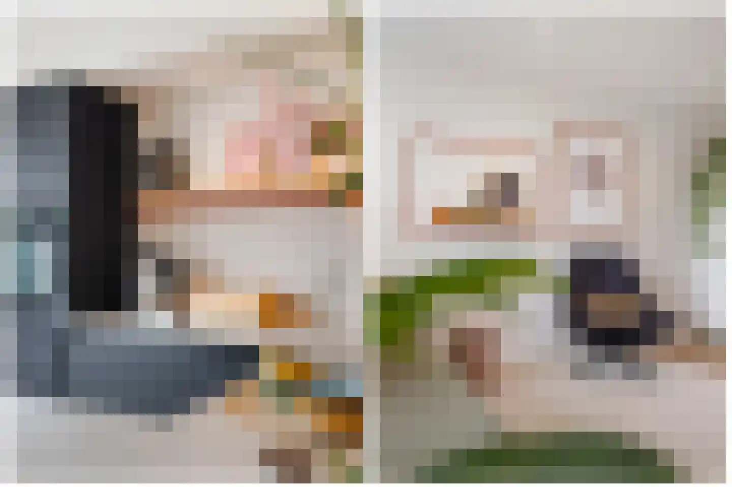 Meineszstraat 3 Heerenveen thumbnail 20