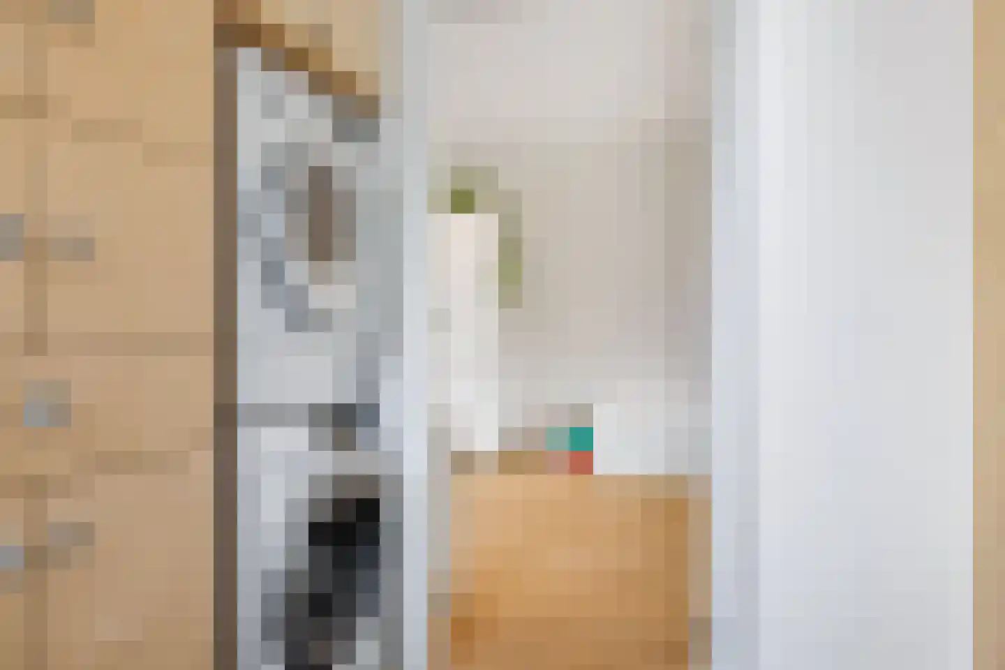Meineszstraat 3 Heerenveen thumbnail 26