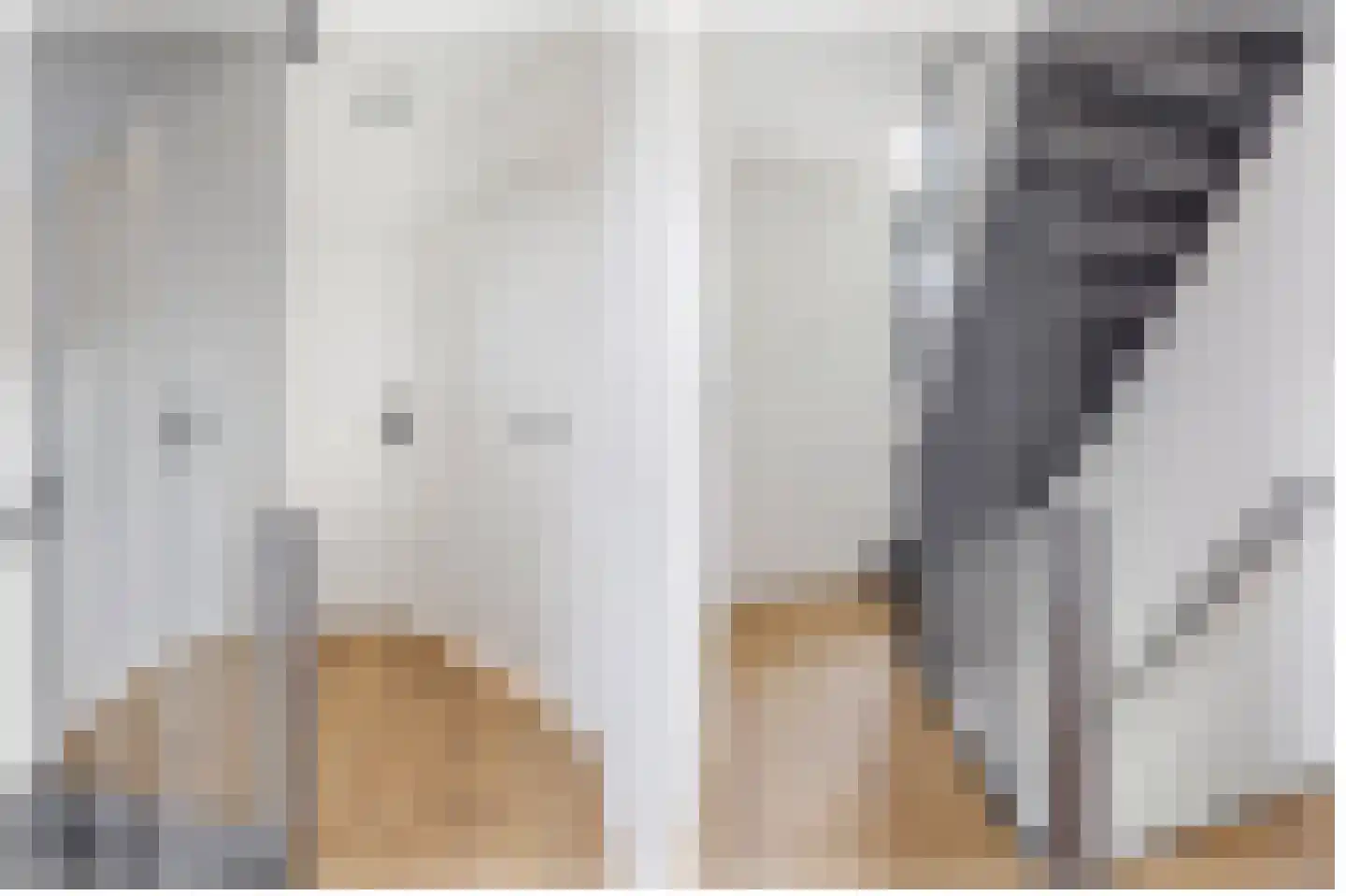 Meineszstraat 3 Heerenveen thumbnail 40