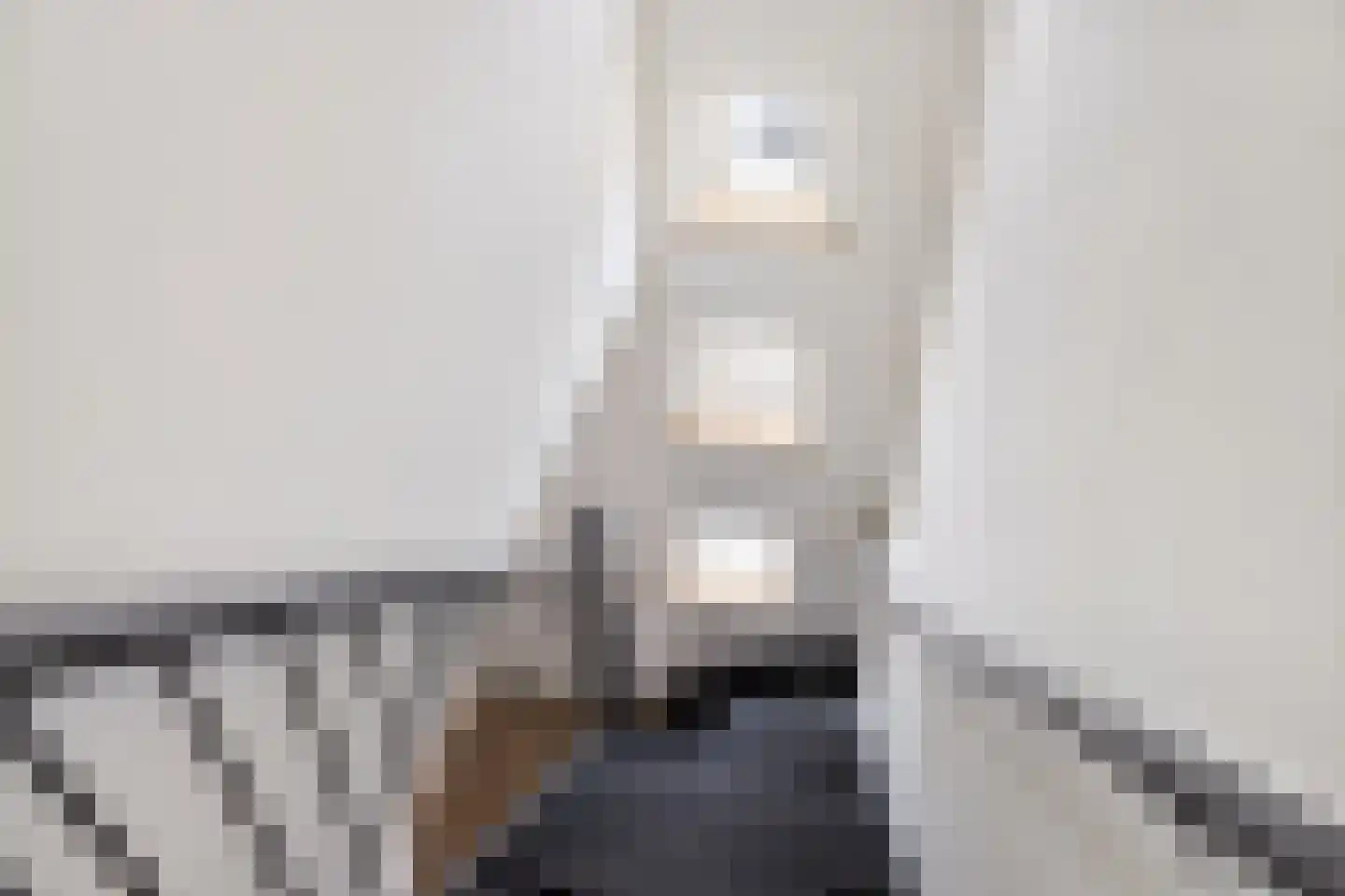 Meineszstraat 3 Heerenveen thumbnail 50