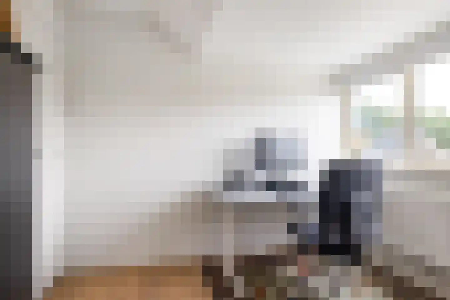 Meineszstraat 3 Heerenveen thumbnail 53