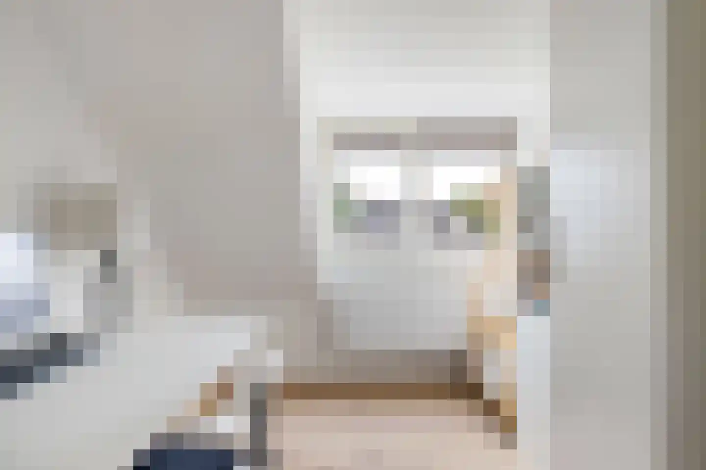 Meineszstraat 3 Heerenveen thumbnail 54