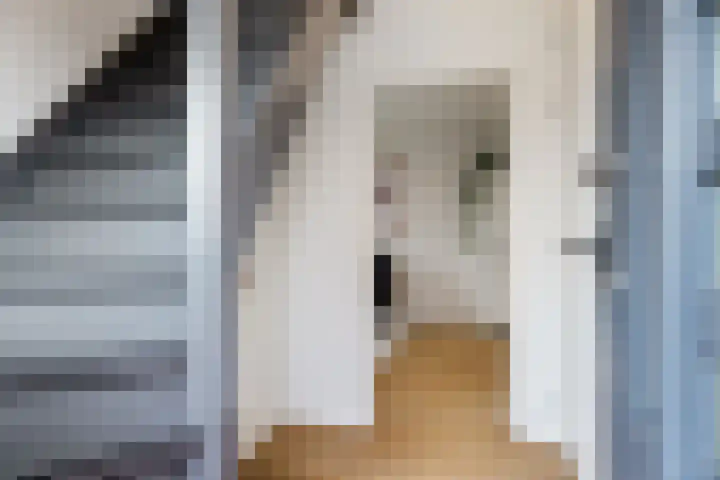 Meineszstraat 3 Heerenveen thumbnail 8