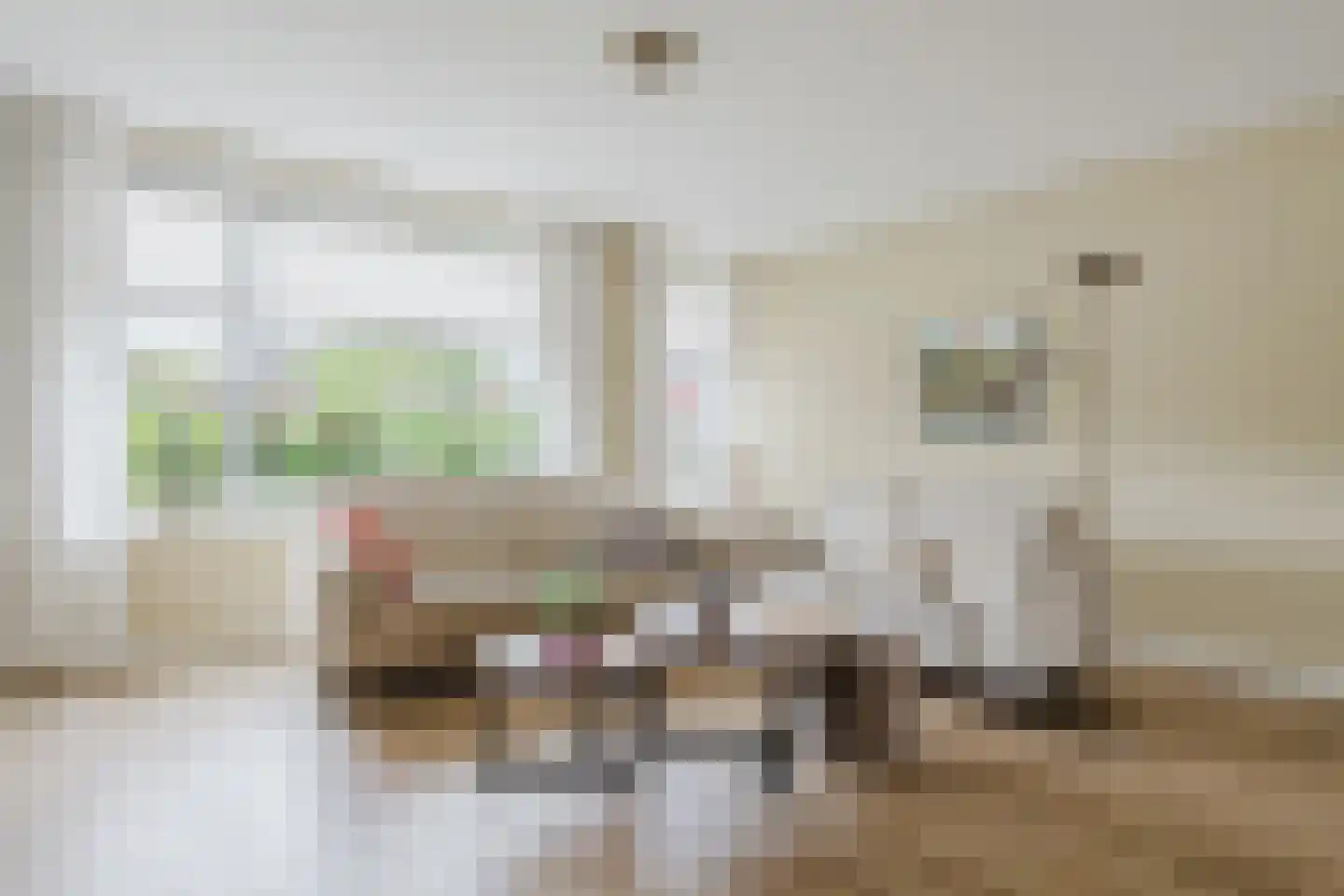 Meineszstraat 37 Heerenveen thumbnail 10