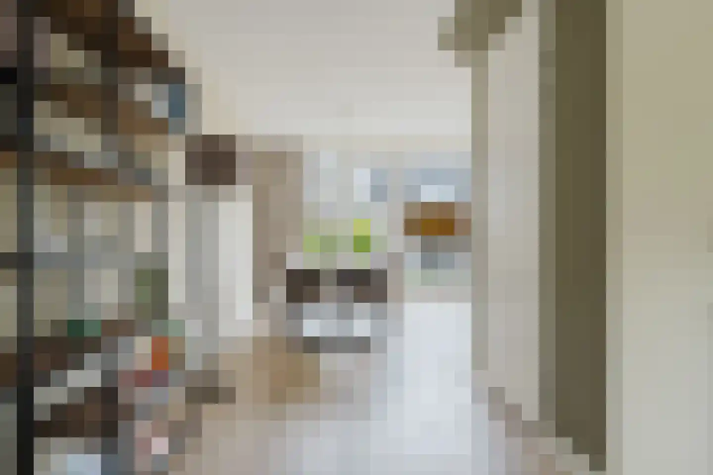 Meineszstraat 37 Heerenveen thumbnail 12