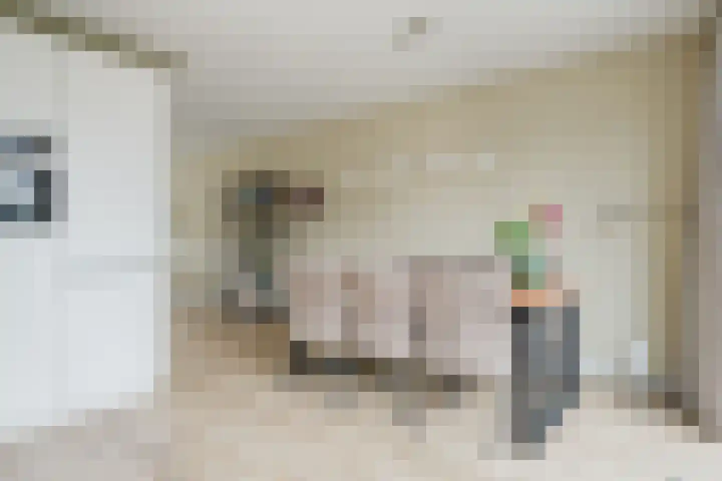 Meineszstraat 37 Heerenveen thumbnail 13