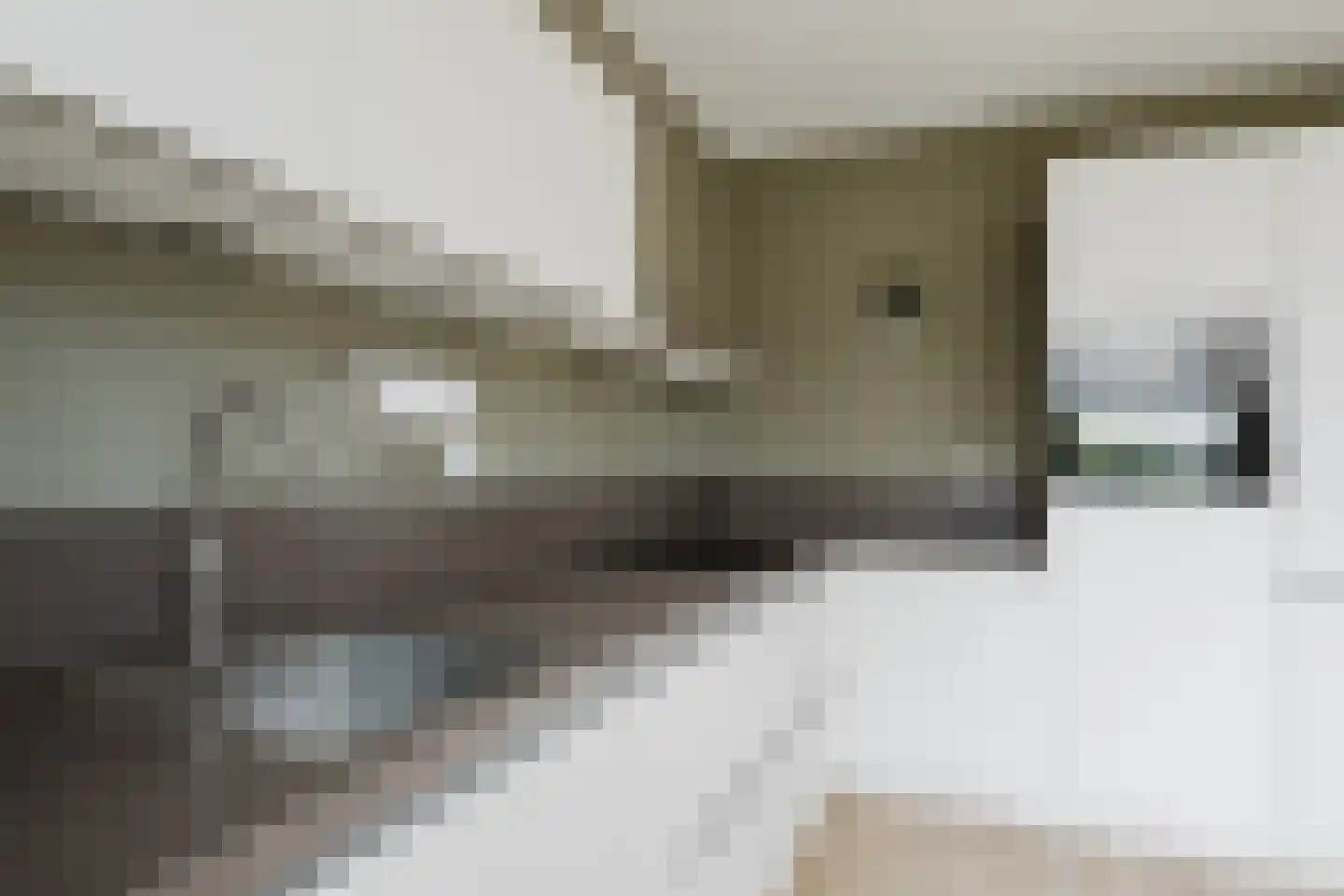 Meineszstraat 37 Heerenveen thumbnail 15