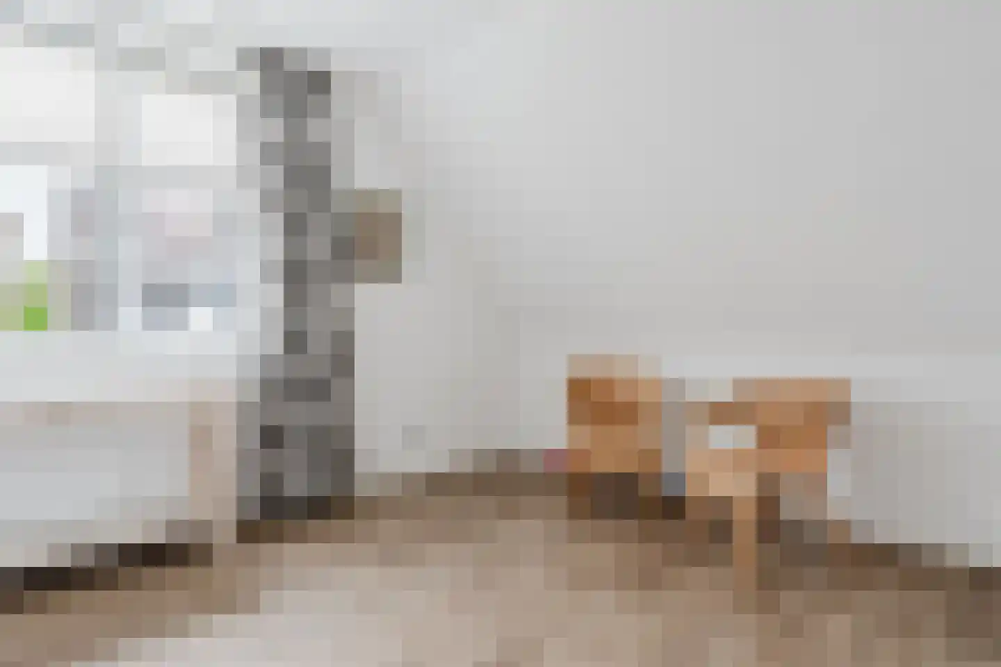 Meineszstraat 37 Heerenveen thumbnail 31