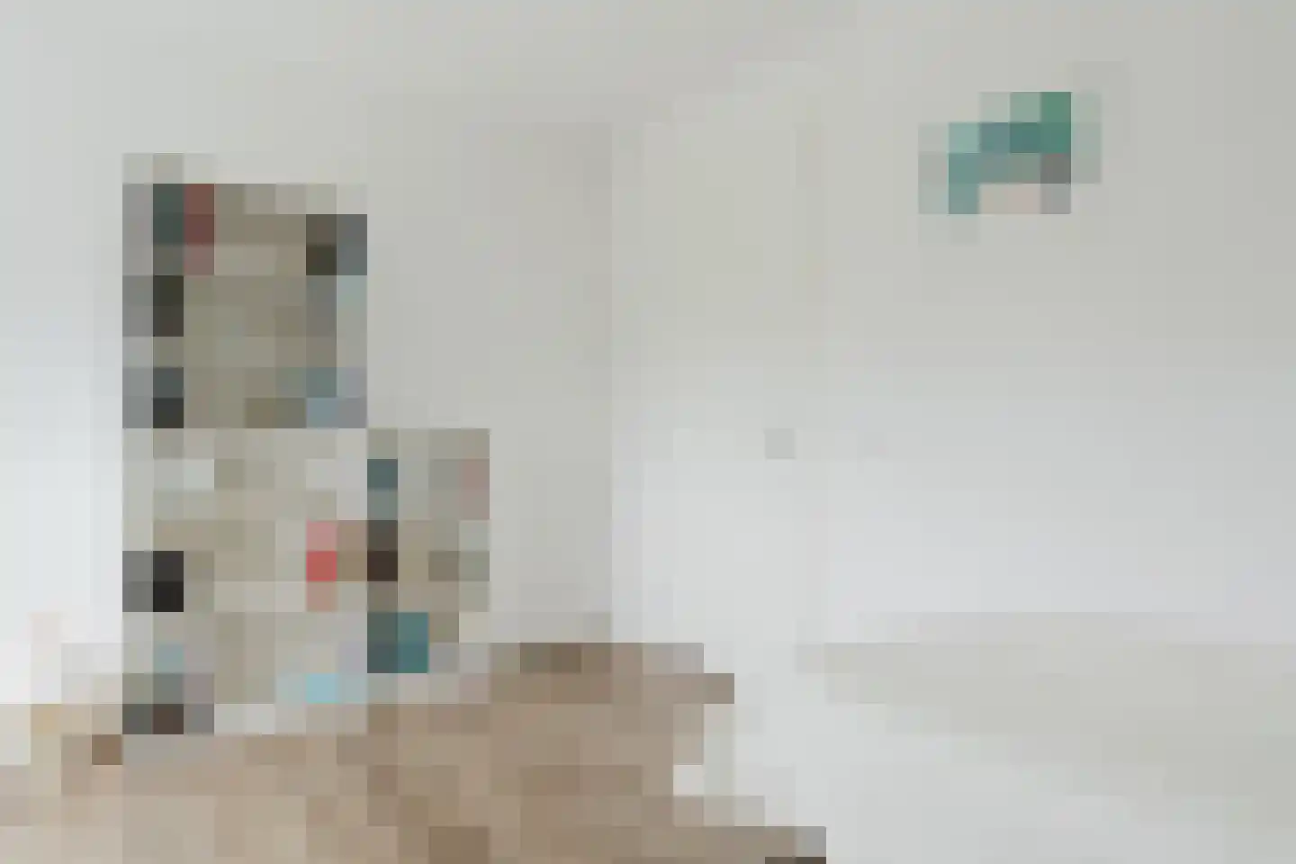 Meineszstraat 37 Heerenveen thumbnail 38