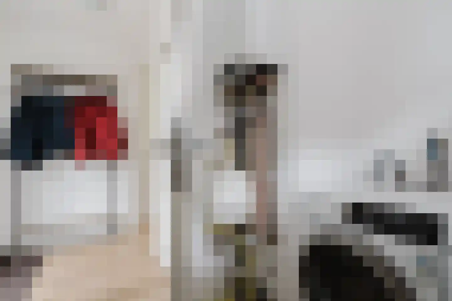 Meineszstraat 37 Heerenveen thumbnail 39