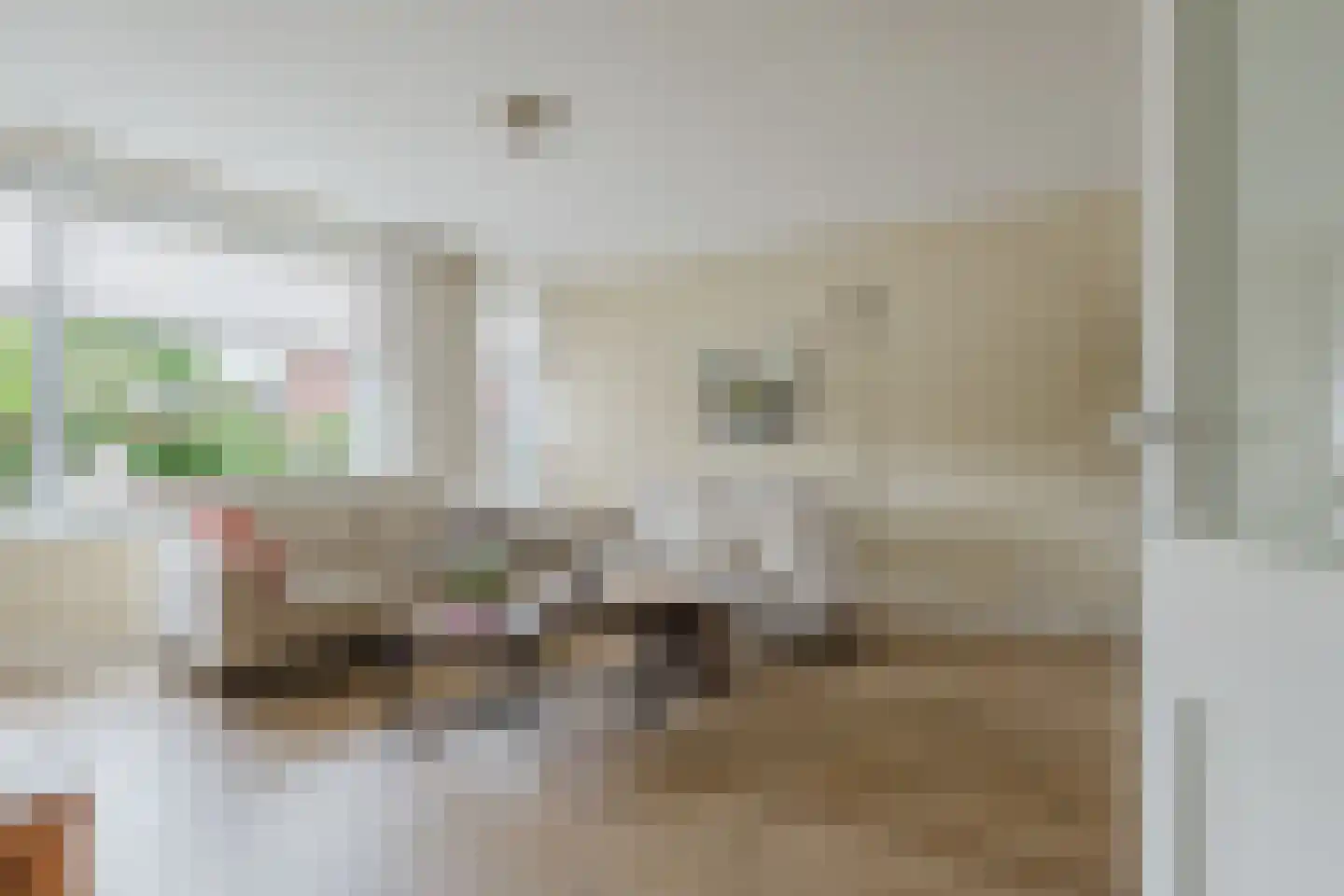 Meineszstraat 37 Heerenveen thumbnail 8