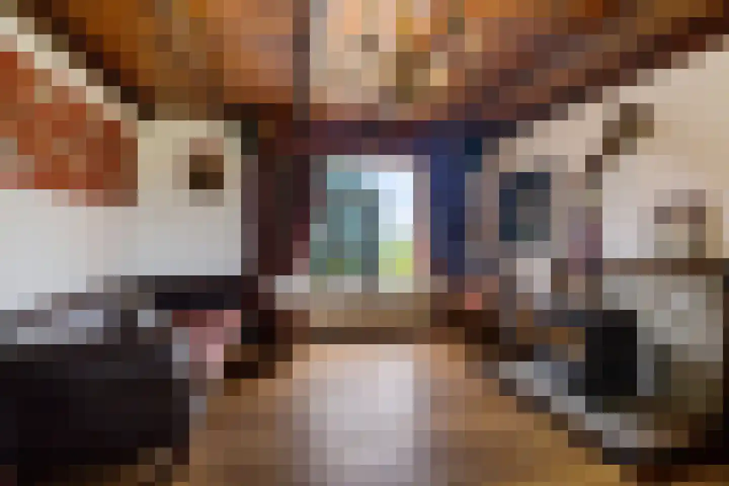Meinsmawei 4 Nes thumbnail 7