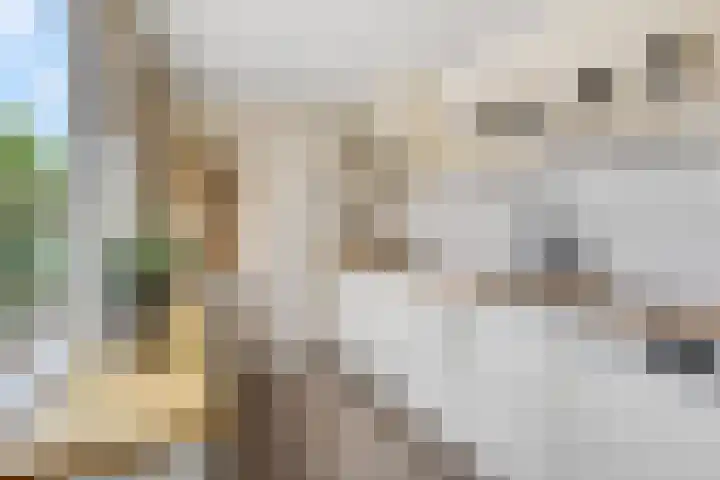 Meinsstraat 17 Nijkerk thumbnail 12